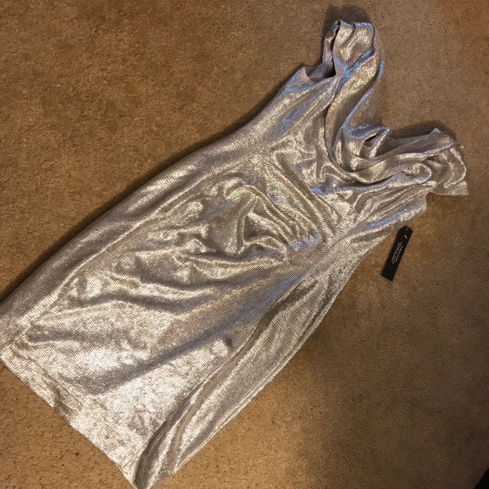 Tahari woman’s evening dress Silver Powder Sz 6p w tags